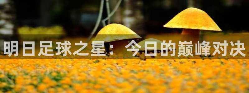 好博体育app官方入口下载